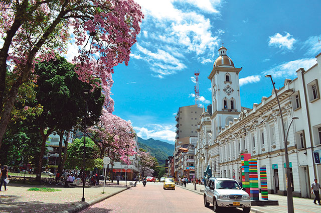 catedral-ibague