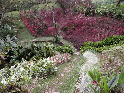 parque botanico san jorgue